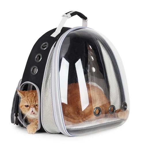 Lollimeow Katzenrucksack, HaustierRucksack für Katzen und Hunde, zugelassen von Fluggesellschaften. Ideal zum Reisen, Wandern, Spazierengehen und für den Outdoor-Einsatz. Lollimeow Katzenrucksack, HaustierRucksack für Katzen und Hunde, zugelassen von Fluggesellschaften. Ideal zum Reisen, Wandern, Spazierengehen und für den Outdoor-Einsatz. von Lollimeow