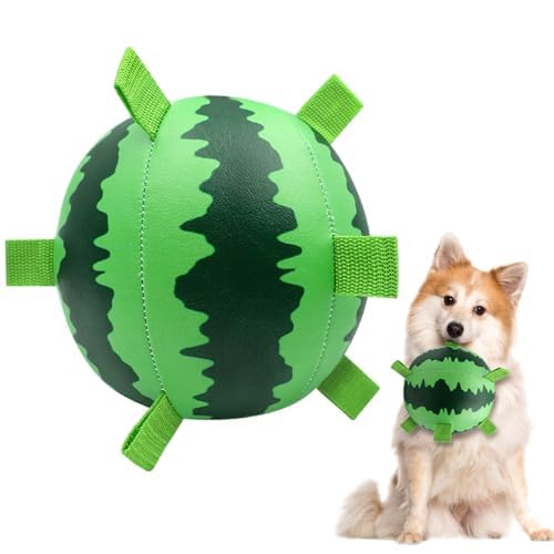 Lollyx Herding Ball für Hunde mit Gurten, 17,8 cm Hundefußball, Wasserspielzeug, interaktives Hundespielzeug zum Tauziehen, langlebige Seile, quietschendes Spielzeug für Welpen, mittelgroße und große von Lollyx