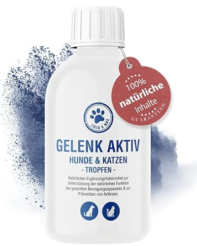 Lolo & Max Gelenk aktiv Tropfen - Hund Gelenke - Gelenke Hund - Unterstützt die Beweglichkeit - Gelenkhilfe mit Teufelskralle - 250ml von Lolo & Max