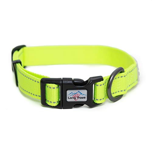 Long Paws Neon Hundehalsband, reflektierendes Halsband, hohe Sichtbarkeit, Hundehalsband (XS) von Long Paws