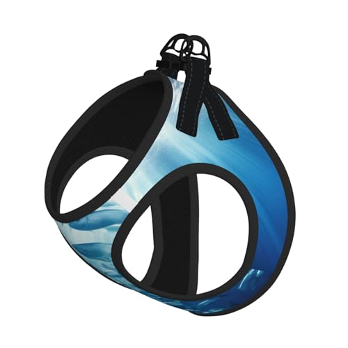Blue Ocean Hundegeschirr und Leine, Unterwasserfisch-Motiv, atmungsaktiv, verstellbar, ausbruchsichere Weste für Hunde, Katzen von Longzehao