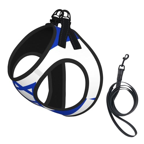 Hundegeschirr und Leine, Set mit israelischer Flagge, atmungsaktiv, verstellbar, ausbruchsicher, Weste für Hunde, Katzen von Longzehao