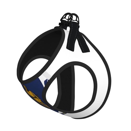 Massachusetts Hundegeschirr und Leine, Set mit Staatsflagge, atmungsaktiv, verstellbar, ausbruchsicher, Weste für Hunde, Katzen von Longzehao