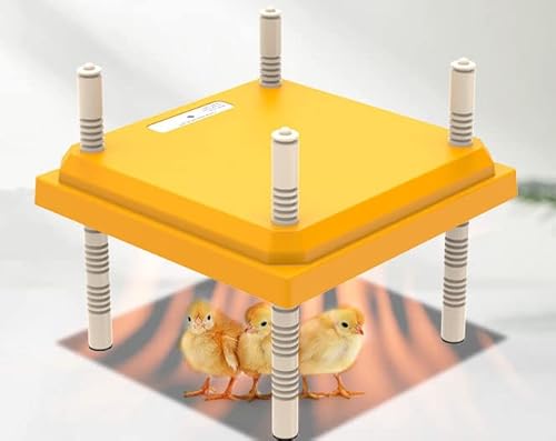 10"x10" Chick Brooder Kit Wärmeplatte - Höhenver/Temperatur Verstellbare Kükenwärmer Wärmelampe, MAX Heiztemperatur 55 ℃/131° F Geeignet für hält bis zu 15 Küken (Farbe Europäisches Messgerät) von Longzhuo