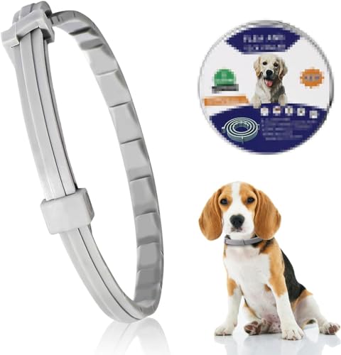 Verstellbar Zecken- & Flohschutz Halsband Hund, Floh und Zeckenhalsband für Hunde Natürlicher Zeckenschutz, Länge: 63cm,für kleine, mittlere und große Haustiere Verstellbar Zecken- & Flohschutz Halsband Hund, Floh und Zeckenhalsband für Hunde Natürlicher Zeckenschutz, Länge: 63cm,für kleine, mittlere und große Haustiere von Lonimia