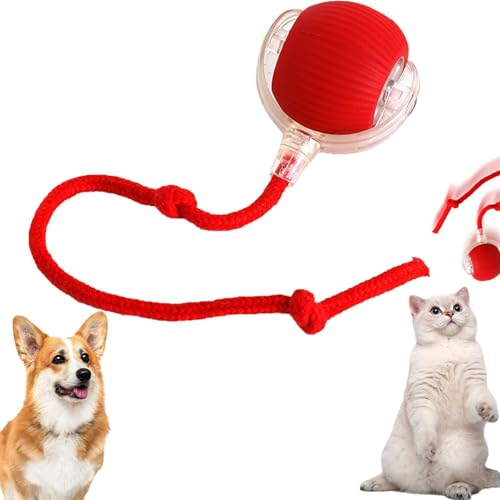 Chewie Viraler Rollball, Chewie elektrischer Hundeball, intelligenter automatischer rollender Haustierball, automatischer 360°-Rollball, Chase Mate Ball für den Innenbereich, große und kleine Katzen Chewie Viraler Rollball, Chewie elektrischer Hundeball, intelligenter automatischer rollender Haustierball, automatischer 360°-Rollball, Chase Mate Ball für den Innenbereich, große und kleine Katzen von Lonnalee