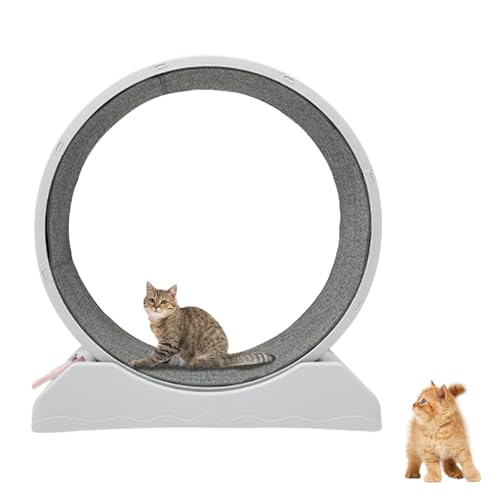Laufrad FüR Katzen, Katzenlaufrad Mit Arretierung Max. TragfäHigkeit 10kg, FitnessgeräT Zur Gewichtsabnahme, Geeignet FüR Zuhause, Pet Shop, Etc von Loohacp