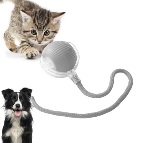 Loongroad Elektrischer Katzenspielzeug-Ball, interaktives Spielzeug für Hunde und Katzen, intelligentes Spielzeug, automatisches Spielzeug, rollender Ball für Katzen, Hunde, bewegungsaktiviert, Loongroad Elektrischer Katzenspielzeug-Ball, interaktives Spielzeug für Hunde und Katzen, intelligentes Spielzeug, automatisches Spielzeug, rollender Ball für Katzen, Hunde, bewegungsaktiviert, von Loongroad