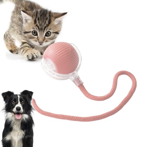 Loongroad Interaktiver Hund Katze Smart Ball Spielzeug Automatischer Beweglicher Ball Spielzeug für Katzen Hunde Bewegungsaktivierter Automatischer Rollball für Kleine Mittlere Hunde und Katzen Loongroad Interaktiver Hund Katze Smart Ball Spielzeug Automatischer Beweglicher Ball Spielzeug für Katzen Hunde Bewegungsaktivierter Automatischer Rollball für Kleine Mittlere Hunde und Katzen von Loongroad