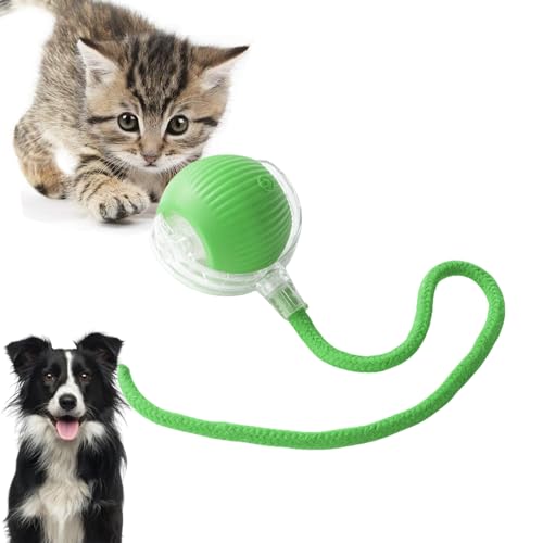 Loongroad Elektrisches Katzenspielzeug Ball Interaktiver Hund Katze Smart Ball Spielzeug Automatisches Spielzeug Rollball für Katzen Hunde Bewegungsaktivierter Automatischer Beweglicher Ball Spielzeug Loongroad Elektrisches Katzenspielzeug Ball Interaktiver Hund Katze Smart Ball Spielzeug Automatisches Spielzeug Rollball für Katzen Hunde Bewegungsaktivierter Automatischer Beweglicher Ball Spielzeug von Loongroad