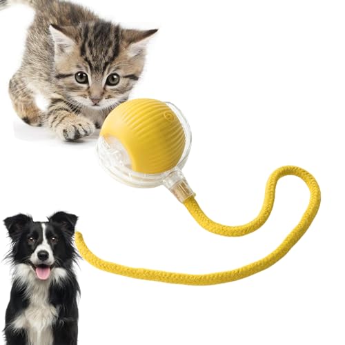 Loongroad Elektrisches Katzenspielzeug Ball Interaktiver Hund Katze Smart Ball Spielzeug Automatisches Spielzeug Rollball für Katzen Hunde Bewegungsaktivierter Automatischer Beweglicher Ball Spielzeug Loongroad Elektrisches Katzenspielzeug Ball Interaktiver Hund Katze Smart Ball Spielzeug Automatisches Spielzeug Rollball für Katzen Hunde Bewegungsaktivierter Automatischer Beweglicher Ball Spielzeug von Loongroad
