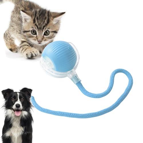 Loongroad Elektrisches Katzenspielzeug Ball Interaktiver Hund Katze Smart Ball Spielzeug Automatisches Spielzeug Rollball für Katzen Hunde Bewegungsaktivierter Automatischer Beweglicher Ball Spielzeug Loongroad Elektrisches Katzenspielzeug Ball Interaktiver Hund Katze Smart Ball Spielzeug Automatisches Spielzeug Rollball für Katzen Hunde Bewegungsaktivierter Automatischer Beweglicher Ball Spielzeug von Loongroad