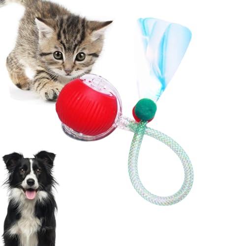 Loongroad Interaktives Katzenspielzeug Ball, Elektrisches Katzenspielzeug, Interaktives Hund Katze Smart Ball Spielzeug, Drei Modi Einstellbar mit Wake Up Funktion für Kleine Mittlere Hunde und Katzen Loongroad Interaktives Katzenspielzeug Ball, Elektrisches Katzenspielzeug, Interaktives Hund Katze Smart Ball Spielzeug, Drei Modi Einstellbar mit Wake Up Funktion für Kleine Mittlere Hunde und Katzen von Loongroad