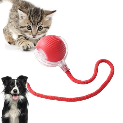 Loongroad Interaktives Katzenspielzeug Ball, Elektrisches Katzenspielzeug, Interaktives Hund Katze Smart Ball Spielzeug, Drei Modi Einstellbar mit Wake Up Funktion für Kleine Mittlere Hunde und Katzen Loongroad Interaktives Katzenspielzeug Ball, Elektrisches Katzenspielzeug, Interaktives Hund Katze Smart Ball Spielzeug, Drei Modi Einstellbar mit Wake Up Funktion für Kleine Mittlere Hunde und Katzen von Loongroad