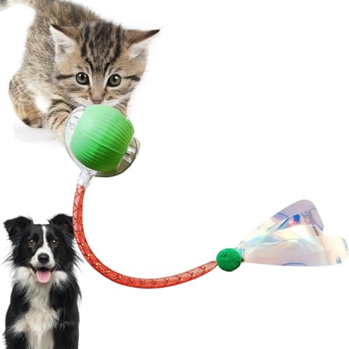 Loongroad Interaktives Katzenspielzeug Ball, Elektrisches Katzenspielzeug, Interaktives Hund Katze Smart Ball Spielzeug, Drei Modi Einstellbar mit Wake Up Funktion für Kleine Mittlere Hunde und Katzen Loongroad Interaktives Katzenspielzeug Ball, Elektrisches Katzenspielzeug, Interaktives Hund Katze Smart Ball Spielzeug, Drei Modi Einstellbar mit Wake Up Funktion für Kleine Mittlere Hunde und Katzen von Loongroad