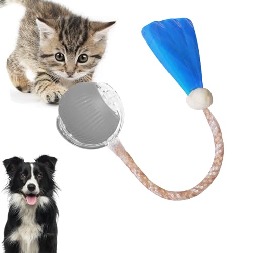 Loongroad Interaktives Katzenspielzeug Ball, Elektrisches Katzenspielzeug, Interaktives Hund Katze Smart Ball Spielzeug, Drei Modi Einstellbar mit Wake Up Funktion für Kleine Mittlere Hunde und Katzen Loongroad Interaktives Katzenspielzeug Ball, Elektrisches Katzenspielzeug, Interaktives Hund Katze Smart Ball Spielzeug, Drei Modi Einstellbar mit Wake Up Funktion für Kleine Mittlere Hunde und Katzen von Loongroad