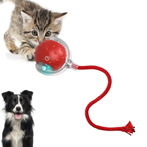 Loongroad Interaktives Katzenspielzeug Ball, Elektrisches Katzenspielzeug, Interaktives Hund Katze Smart Ball Spielzeug, Drei Modi Einstellbar mit Wake Up Funktion für Kleine Mittlere Hunde und Katzen Loongroad Interaktives Katzenspielzeug Ball, Elektrisches Katzenspielzeug, Interaktives Hund Katze Smart Ball Spielzeug, Drei Modi Einstellbar mit Wake Up Funktion für Kleine Mittlere Hunde und Katzen von Loongroad
