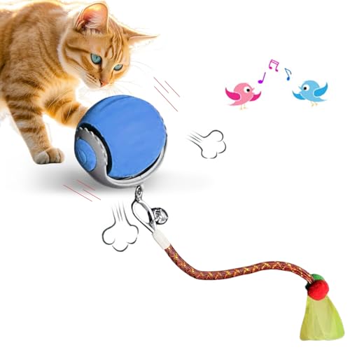Loongroad Interaktives Spielzeug für Haustiere, elektrisch, interaktiv, für Hunde und Katzen, intelligenter Ball, automatisches Rollspielzeug für Katzen und Hunde (blau) von Loongroad