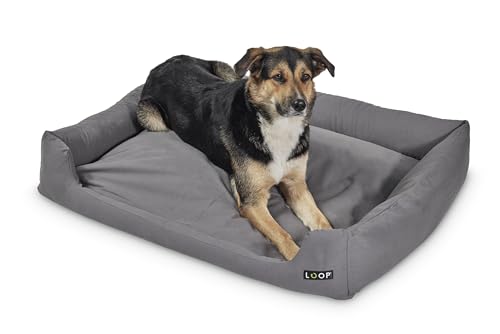Loop Orthopädisches Hundebett Grau M für große Hunde - Recyceltes Flockenfüllmaterial, Waschbar, Robuster Baumwollbezug mit soliden Reißverschlüssen, Allergikerfreundlich, Indoor/Outdoor von Loop