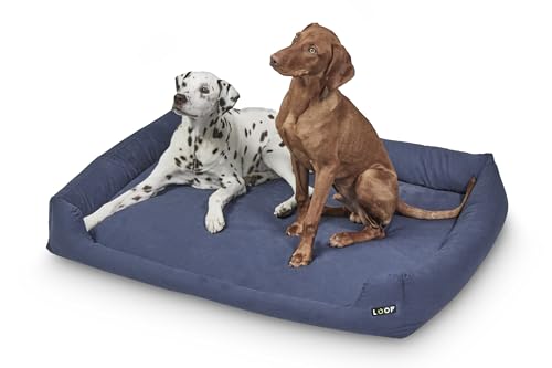 Loop Dog Bed Blue 4XL Loop Dog Bed Blue 4XL von Loop
