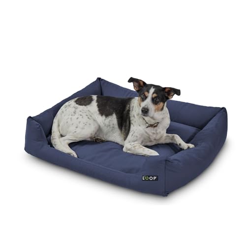 Loop Dog Bed Blue 2XL Loop Dog Bed Blue 2XL von Loop