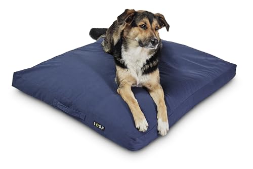 Loop blaues orthopädisches Hundekissen für große Hunde, rechteckiges Hundebett, wasserfester Boden und Antirutsch-Noppen, nachhaltig aus Upcycling-Kreislauf 'HUNDELOUNGE' Loop blaues orthopädisches Hundekissen für große Hunde, rechteckiges Hundebett, wasserfester Boden und Antirutsch-Noppen, nachhaltig aus Upcycling-Kreislauf 'HUNDELOUNGE' von Loop