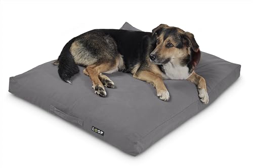 Loop graues orthopädisches Hundekissen für große Hunde, rechteckiges Hundebett, wasserfester Boden und Antirutsch-Noppen, nachhaltig aus Upcycling-Kreislauf 'HUNDELOUNGE' von Loop
