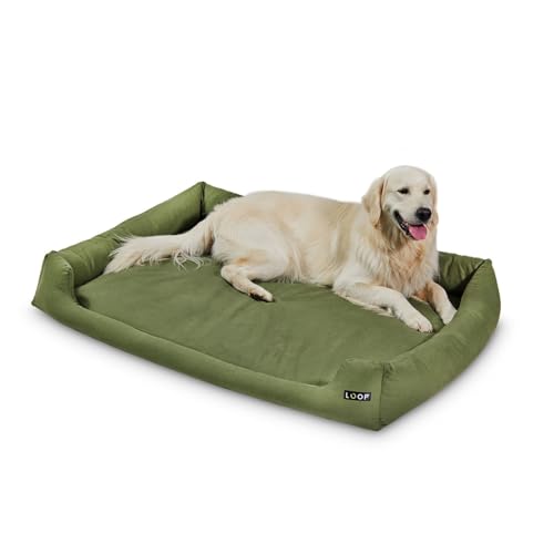Loop Orthopädisches Hundebett Grün 3XL für große Hunde - Recyceltes Flockenfüllmaterial, Waschbarer, robuster Baumwollbezug mit soliden Reißverschlüssen, Allergikerfreundlich, Indoor/Outdoor von Loop