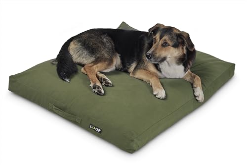 Loop grünes orthopädisches Hundekissen für große Hunde, rechteckiges Hundebett, wasserfester Boden und Antirutsch-Noppen, nachhaltig aus Upcycling-Kreislauf 'HUNDELOUNGE' Loop grünes orthopädisches Hundekissen für große Hunde, rechteckiges Hundebett, wasserfester Boden und Antirutsch-Noppen, nachhaltig aus Upcycling-Kreislauf 'HUNDELOUNGE' von Loop