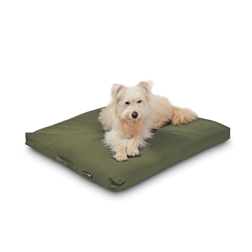 Loop grünes orthopädisches Hundekissen für mittelgroße bis große Hunde, rechteckiges Hundebett, wasserfester Boden und Antirutsch-Noppen, nachhaltig aus Upcycling-Kreislauf 'HUNDELOUNGE' Loop grünes orthopädisches Hundekissen für mittelgroße bis große Hunde, rechteckiges Hundebett, wasserfester Boden und Antirutsch-Noppen, nachhaltig aus Upcycling-Kreislauf 'HUNDELOUNGE' von Loop