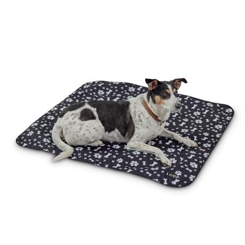 Loop-PIPILOTTA Hundematte wasserdicht & saugfähig, inkl. Tragegurt | Urinschutz für Welpen & Senioren | Unterlage für Sofa, Auto, Reisen | 80 x 75 x 0,7 cm | maschinenwaschbar, schnell trocknend Loop-PIPILOTTA Hundematte wasserdicht & saugfähig, inkl. Tragegurt | Urinschutz für Welpen & Senioren | Unterlage für Sofa, Auto, Reisen | 80 x 75 x 0,7 cm | maschinenwaschbar, schnell trocknend von Loop