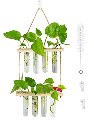 Mini-Pflanzen-Terrarium mit 2 Ebenen, mit Holzständer, Wandmontage, Reagenzglas, Blumenknospe, Tischplatte, Glasterrarium, für Hydrokulturpflanzen, Schneiden, Dekoration (holzfarben, 8 Röhren) von Loopunk