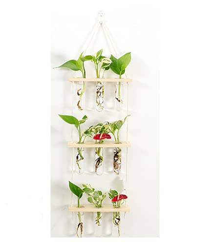 Mini-Pflanzen-Terrarium mit 3 Ebenen, mit Holzständer, an der Wand montiert, Reagenzglas, Blumenknospe, Tischplatte, Glasterrarium, für Hydrokulturpflanzen, Dekoration (holzfarben, 9 Röhren) von Loopunk