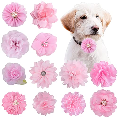 Lopsity 12 Stück Haustier-Halsband, Blumen-Schleife, abnehmbare Blumenverzierung für Katzen, Hunde, Haustierbedarf für Geburtstagsparty (rosa) von Lopsity