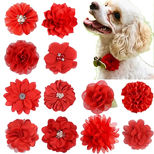 Lopsity Haustier-Halsband, Blumen-Schleife, abnehmbare Blumenverzierung für Katzen, Hunde, Haustierbedarf für Geburtstagsparty (rot) von Lopsity
