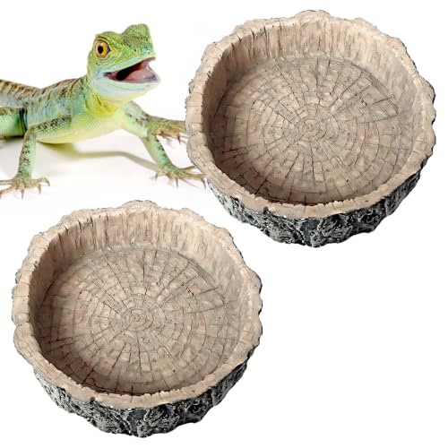 Kleiner Futternapf für Reptilien, 2 Packungen für Reptilien, Futternapf, Neuheit, Futternapf, Eidechse Kleiner Futternapf für Reptilien, 2 Packungen für Reptilien, Futternapf, Neuheit, Futternapf, Eidechse von Lorzot
