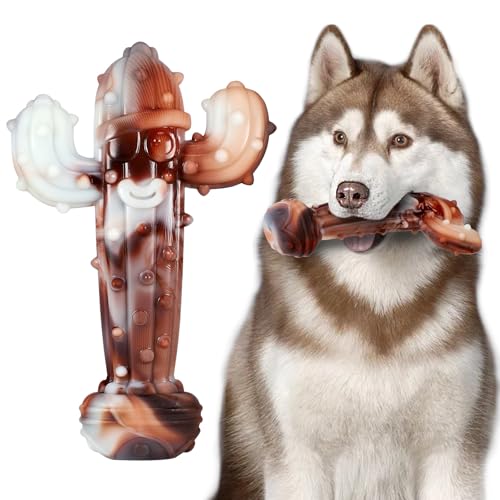LosFong Kaktus-Kauspielzeug für aggressive Kauer, echter Rindgeschmack, robustes Nylon, unzerstörbares Kauspielzeug für Hunde unter 40,8 kg, 17,8 cm, ultra-langlebig, langlebig LosFong Kaktus-Kauspielzeug für aggressive Kauer, echter Rindgeschmack, robustes Nylon, unzerstörbares Kauspielzeug für Hunde unter 40,8 kg, 17,8 cm, ultra-langlebig, langlebig von LosFong