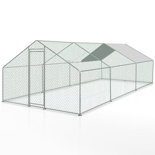 Lospitch Freilaufgehege 3x6x2m, Hühnerstall XXL mit Schloss, Verzinkter Stahl Kleintierstall Voliere Outdoor Geflügelstall, für Hühnerkäfig Kleintiere Haustierkäfig Hasengehege Lospitch Freilaufgehege 3x6x2m, Hühnerstall XXL mit Schloss, Verzinkter Stahl Kleintierstall Voliere Outdoor Geflügelstall, für Hühnerkäfig Kleintiere Haustierkäfig Hasengehege von Lospitch