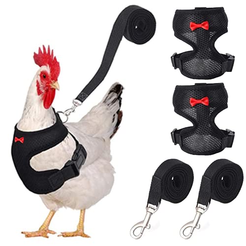 LotCow 2 Set verstellbares Hühner-Geschirr und Leine, Henne Haustier Weste, atmungsaktiv, bequem, Trainingsgeschirr für Huhn, Ente oder Gänse Geflügel (schwarz, S) von LotCow