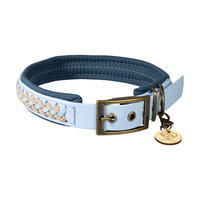 Trendfährte Hundehalsband BioThane® [S: 33-40 cm x 30 mm - Himmelblau/Beige] von Loulourella