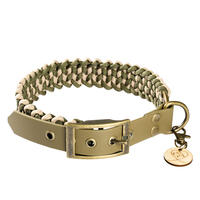 Trendfährte Hundehalsband Paracord [XXS: 23-30 cm x 24 mm - Oliv/Beige] von Loulourella