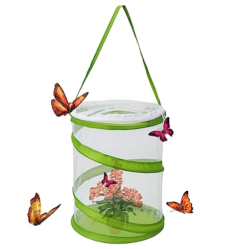 Butterfly Habitat Käfig, transparentes Netzgehäuse, Pop-Up-Erratariu | Schmetterlingskäfig für Raupen, Schmetterlingsgehege für den Innenbereich, 16 x 20 cm hoch Loupsiy von Loupsiy