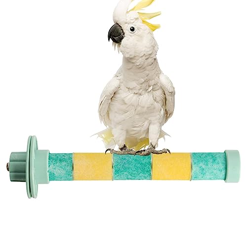 Vogelständer Schleifstab – Frosted Cage Grinding Stand Pole – Übungsspielzeug mit integriertem Metallkern für Sittiche, Wellensittiche, Lovebirds, mittelgroße Papageien, Nymphensittiche Loupsiy von Loupsiy