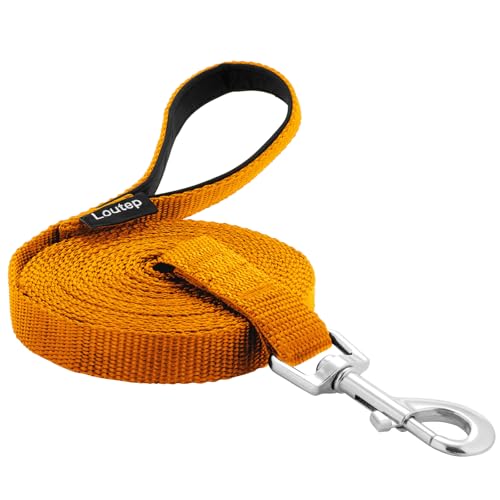 Loutep Hundetrainingsleine, 4,5 m, 6,1 m, 9 m, 15,2 m, 30,5 m, extra lange Leine für Hunde, mit gepolstertem Griff, für kleine, mittelgroße und große Welpenrassen, Outdoor-Gehorsam, von Loutep
