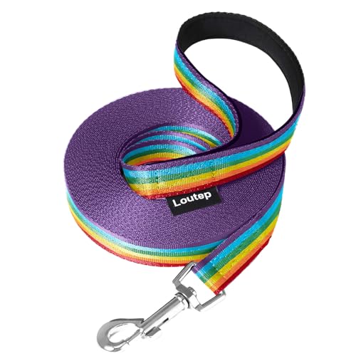 Loutep Regenbogen-Trainingsleine für Hunde, 3 m, 5 m, 10 m, 15 m, 20 m, 25 m, 30 m, starkes Nylonseil, extra lange Hundeleine, Leine mit gepolstertem Griff für große, mittelgroße und kleine Welpen, Rü von Loutep