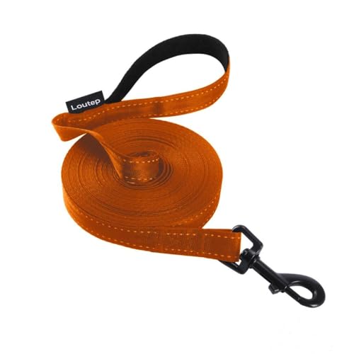Loutep Reflektierende Trainingsleine für Hunde, 3 m, 5 m, 10 m, 15 m, 20 m, 25 m, 30 m, starkes Nylonseil, extra lange Leine, Hundeleine mit gepolstertem Griff, für große, mittelgroße und kleine Loutep Reflektierende Trainingsleine für Hunde, 3 m, 5 m, 10 m, 15 m, 20 m, 25 m, 30 m, starkes Nylonseil, extra lange Leine, Hundeleine mit gepolstertem Griff, für große, mittelgroße und kleine von Loutep