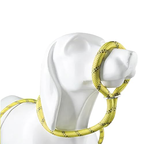 Loutep Retrieverleine für Hunde, 1,8 m lang, Seil mit reflektierenden Nähten, leicht anzuziehen, kein Halsband oder Geschirr erforderlich, Anti-Würge-Leine, ideal für kleine Welpen, große und Loutep Retrieverleine für Hunde, 1,8 m lang, Seil mit reflektierenden Nähten, leicht anzuziehen, kein Halsband oder Geschirr erforderlich, Anti-Würge-Leine, ideal für kleine Welpen, große und von Loutep