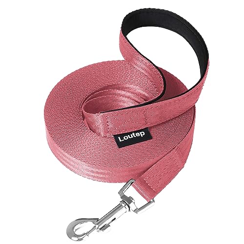 Loutep Schleppleine Für Hunde Lange Leine 3m 5m Schleppleine 10m Für Hunde 15m 20m 25m 30m Hundeleine Für Kleine Mittel Große Hund Langlaufleine Wasserfest Leicht Laufleine Loutep Schleppleine Für Hunde Lange Leine 3m 5m Schleppleine 10m Für Hunde 15m 20m 25m 30m Hundeleine Für Kleine Mittel Große Hund Langlaufleine Wasserfest Leicht Laufleine von Loutep