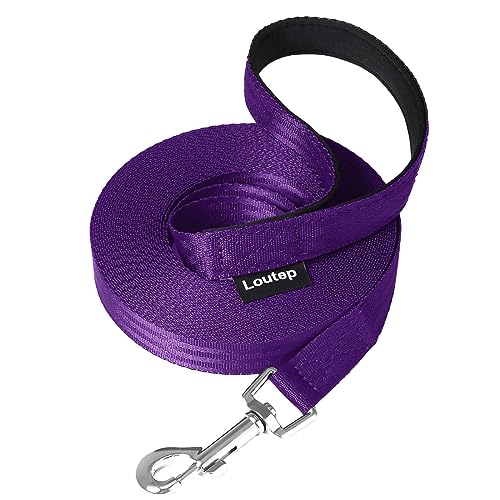 Loutep Schleppleine Für Hunde Lange Leine 3m 5m Schleppleine 10m Für Hunde 15m 20m 25m 30m Hundeleine Für Kleine Mittel Große Hund Langlaufleine Wasserfest Leicht Laufleine Loutep Schleppleine Für Hunde Lange Leine 3m 5m Schleppleine 10m Für Hunde 15m 20m 25m 30m Hundeleine Für Kleine Mittel Große Hund Langlaufleine Wasserfest Leicht Laufleine von Loutep