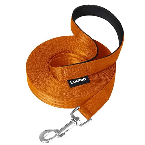 Loutep Training Lead for Dogs -3m (10ft) Red Durable Nylon Long Line Dog Lead with Padded Handle & Heavy - Duty Swivel Hook – Leash for Pet Obedience von Loutep